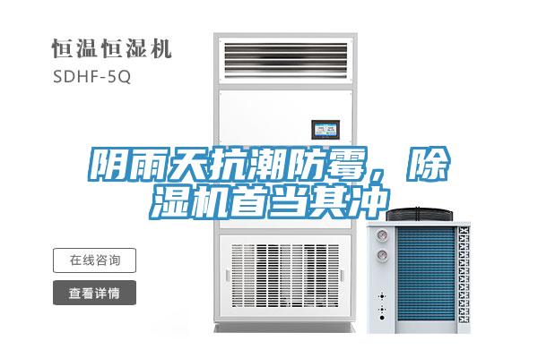 陰雨天抗潮防黴，杏仁视频APP成人官方污首當其衝
