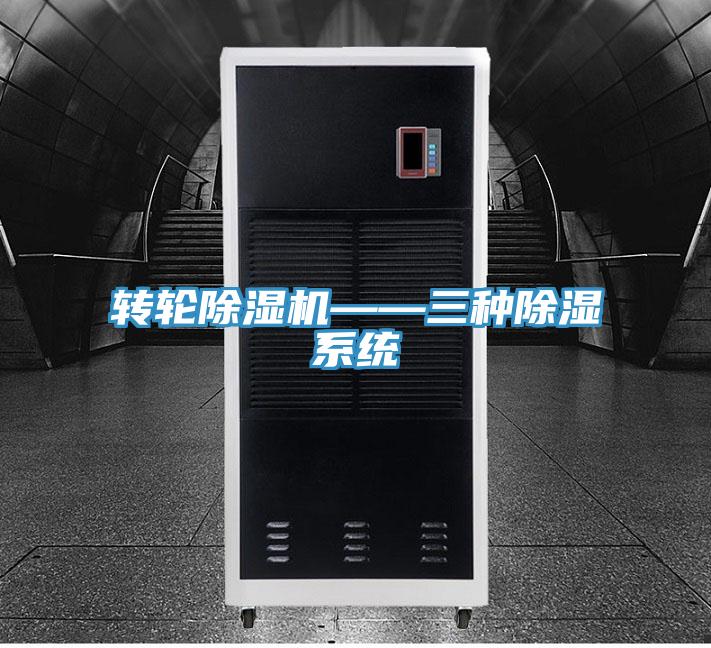 轉輪杏仁视频APP成人官方污——三種除濕係統