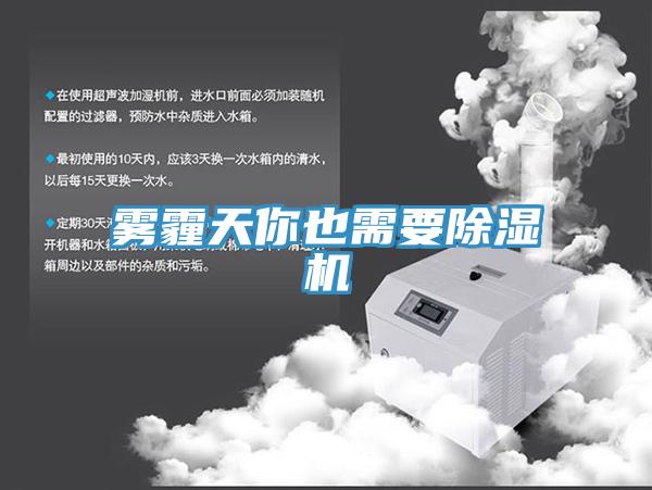 霧霾天你也需要杏仁视频APP成人官方污