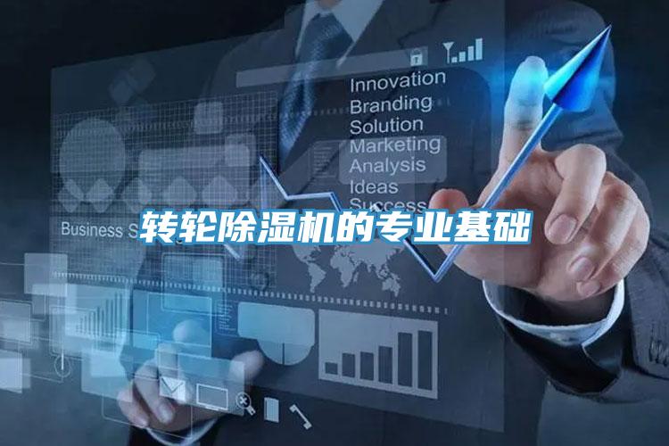 轉輪杏仁视频APP成人官方污的專業基礎