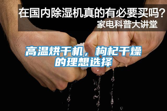 高溫烘幹機，枸杞幹燥的理想選擇
