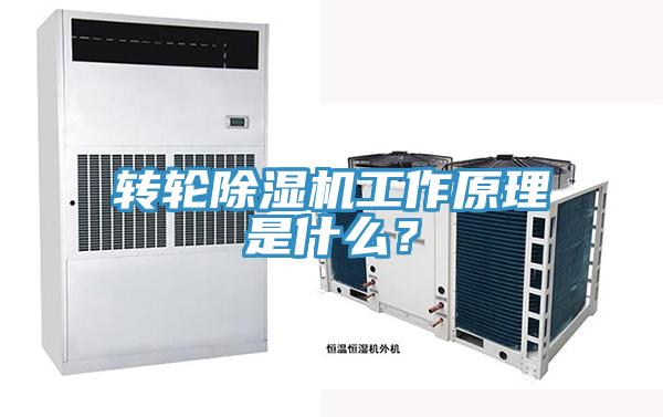 轉輪杏仁视频APP成人官方污工作原理是什麽？