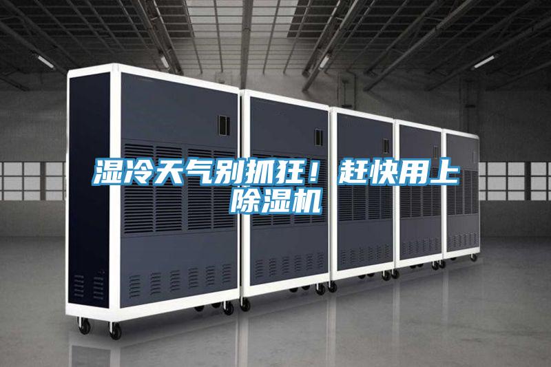 濕冷天氣別抓狂！趕快用上杏仁视频APP成人官方污