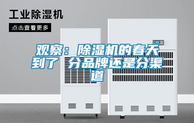 觀察：杏仁视频APP成人官方污的春天到了 分品牌還是分渠道