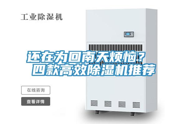 還在為回南天煩惱？ 四款高效杏仁视频APP成人官方污推薦