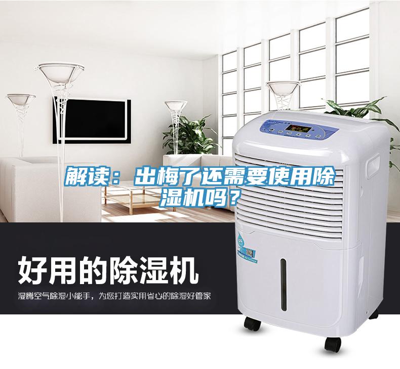 解讀：出梅了還需要使用杏仁视频APP成人官方污嗎？