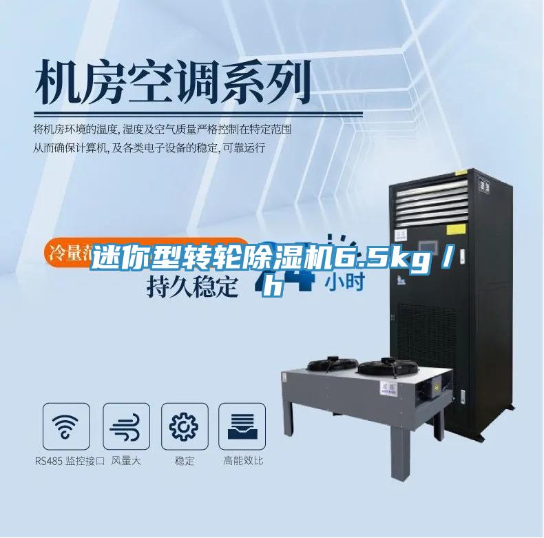 迷你型轉輪杏仁视频APP成人官方污6.5kg／h