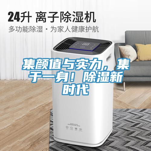 集顏值與實力，集於一身！除濕新時代