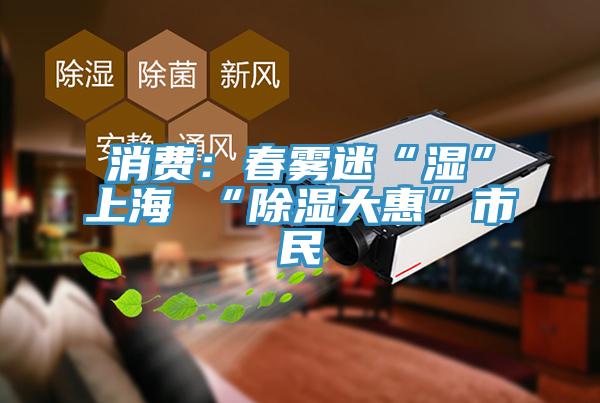 消費：春霧迷“濕”上海 “除濕大惠”市民