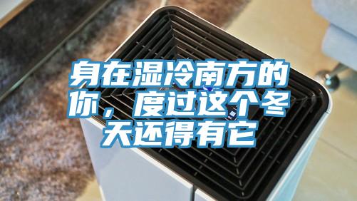 身在濕冷南方的你，度過這個冬天還得有它