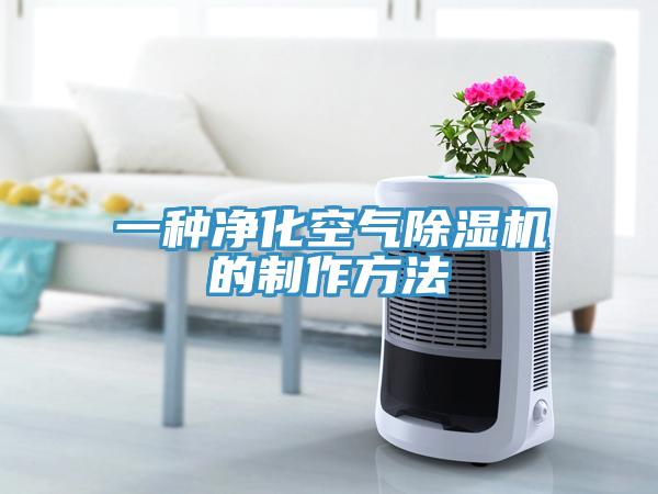 一種淨化空氣杏仁视频APP成人官方污的製作方法