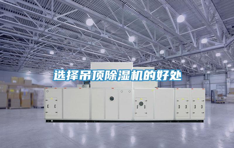 選擇吊頂杏仁视频APP成人官方污的好處