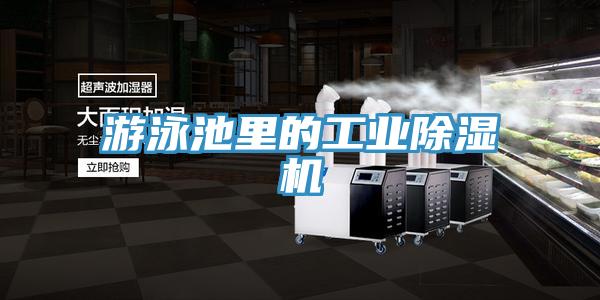 遊泳池裏的工業杏仁视频APP成人官方污