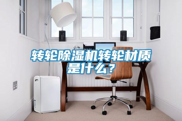 轉輪杏仁视频APP成人官方污轉輪材質是什麽？