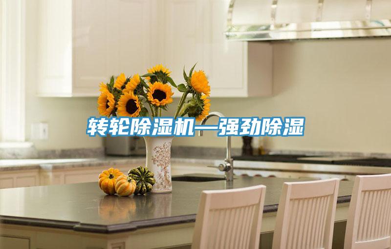 轉輪杏仁视频APP成人官方污—強勁除濕