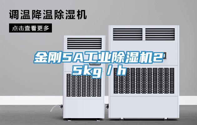金剛5A工業杏仁视频APP成人官方污25kg／h
