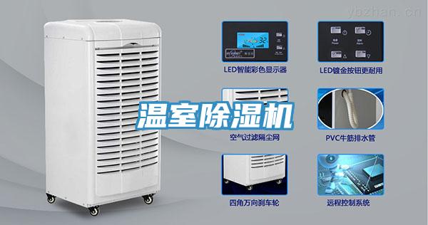 溫室杏仁视频APP成人官方污