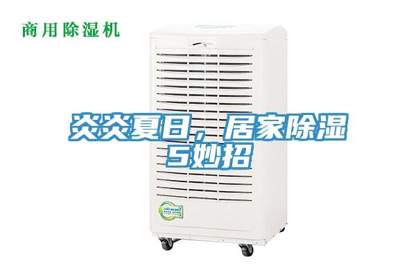 炎炎夏日，居家除濕5妙招