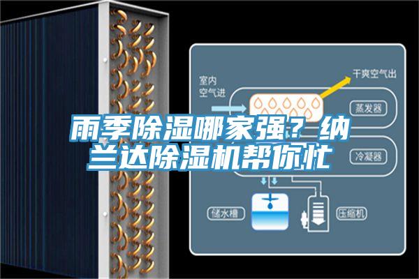 雨季除濕哪家強？納蘭達杏仁视频APP成人官方污幫你忙