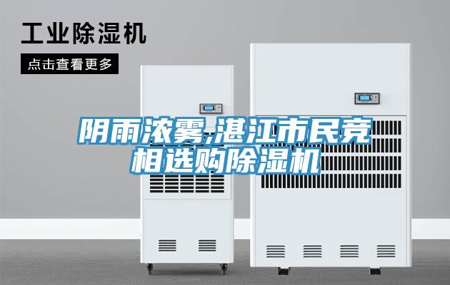 陰雨濃霧,湛江市民競相選購杏仁视频APP成人官方污