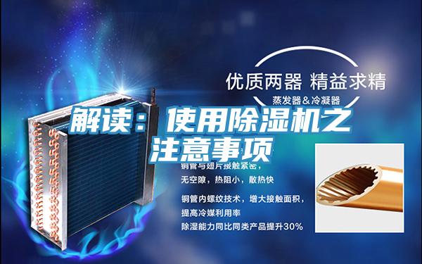 解讀：使用杏仁视频APP成人官方污之注意事項