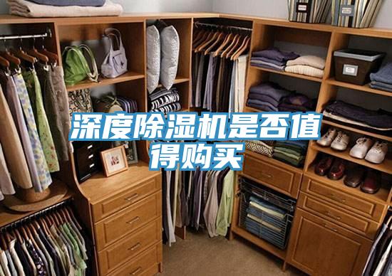 深度杏仁视频APP成人官方污是否值得購買