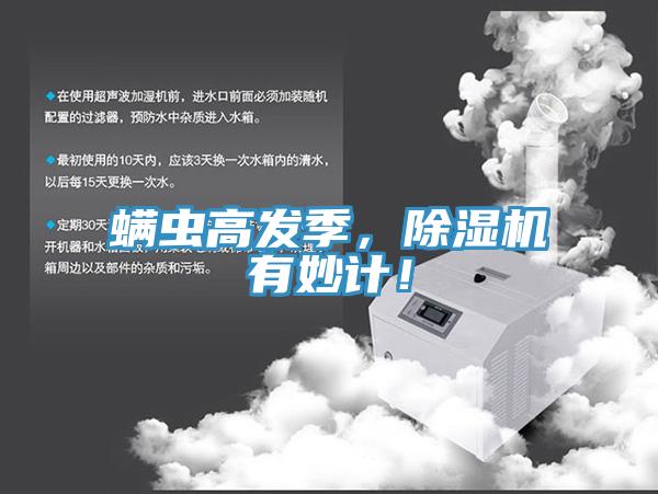 蟎蟲高發季，杏仁视频APP成人官方污有妙計！