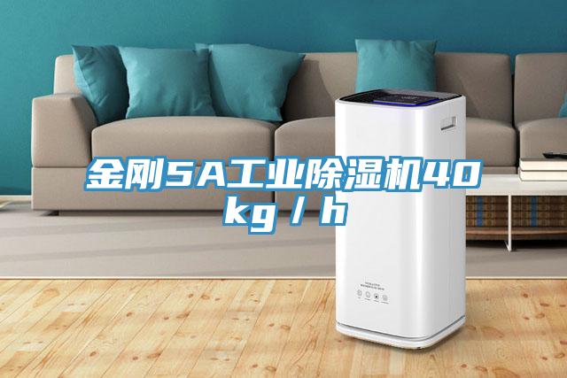 金剛5A工業杏仁视频APP成人官方污40kg／h