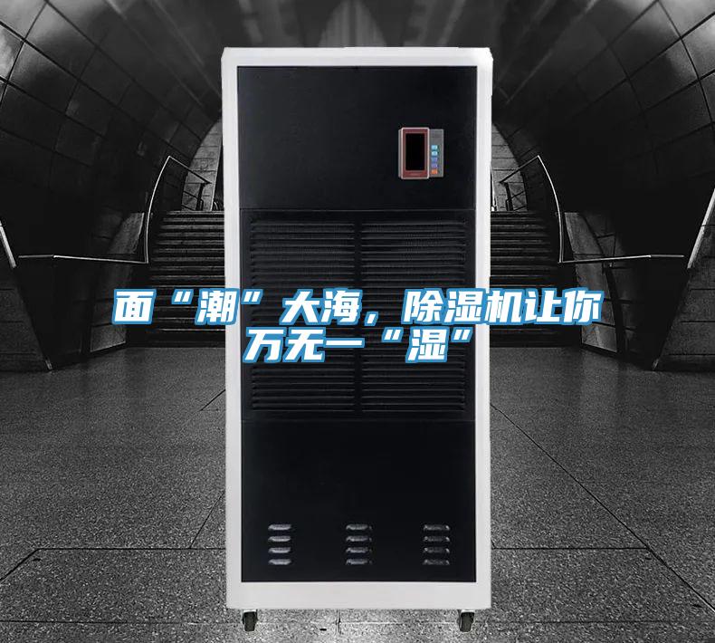 麵“潮”大海，杏仁视频APP成人官方污讓你萬無一“濕”
