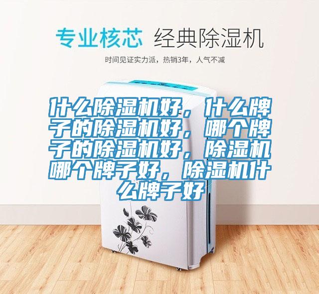 什麽杏仁视频APP成人官方污好，什麽牌子的杏仁视频APP成人官方污好，哪個牌子的杏仁视频APP成人官方污好，杏仁视频APP成人官方污哪個牌子好，杏仁视频APP成人官方污什麽牌子好