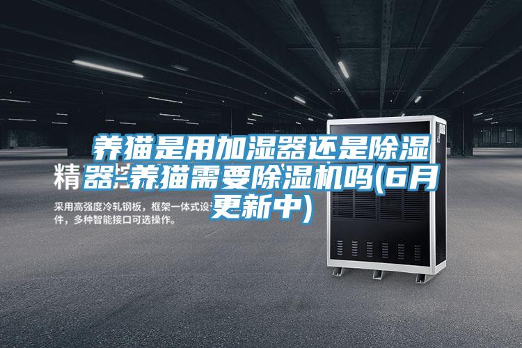 養貓是用加濕器還是除濕器-養貓需要杏仁视频APP成人官方污嗎(6月更新中)