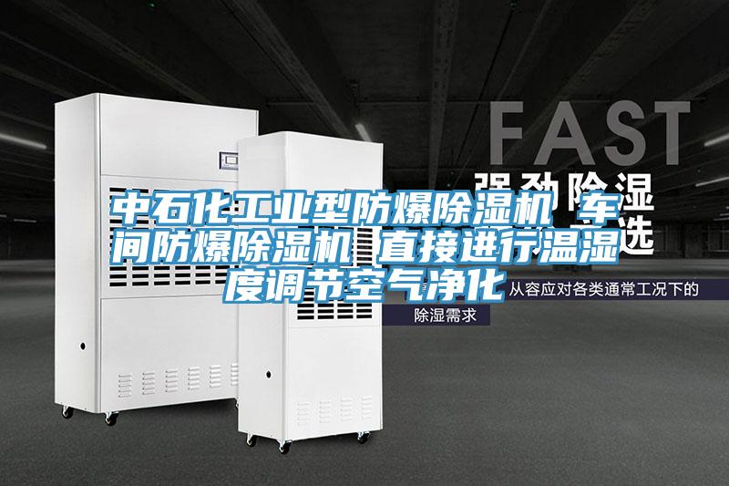 中石化工業型防爆杏仁视频APP成人官方污 車間防爆杏仁视频APP成人官方污 直接進行溫濕度調節空氣淨化