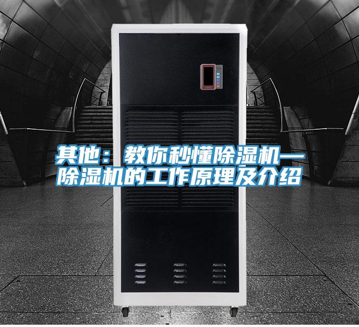 其他：教你秒懂杏仁视频APP成人官方污—杏仁视频APP成人官方污的工作原理及介紹
