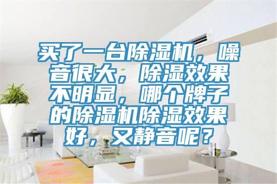 買了一台杏仁视频APP成人官方污，噪音很大，除濕效果不明顯，哪個牌子的杏仁视频APP成人官方污除濕效果好，又靜音呢？