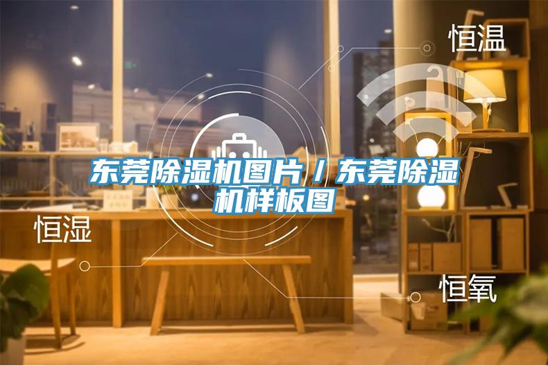 東莞杏仁视频APP成人官方污圖片／東莞杏仁视频APP成人官方污樣板圖