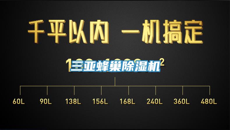 三亞蜂巢杏仁视频APP成人官方污