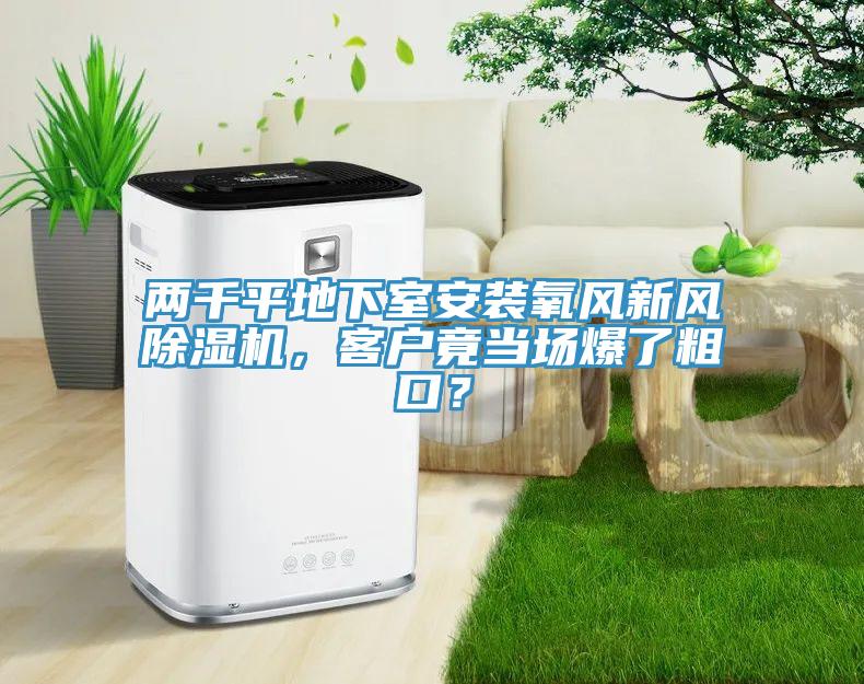 兩千平地下室安裝氧風新風杏仁视频APP成人官方污，客戶竟當場爆了粗口？