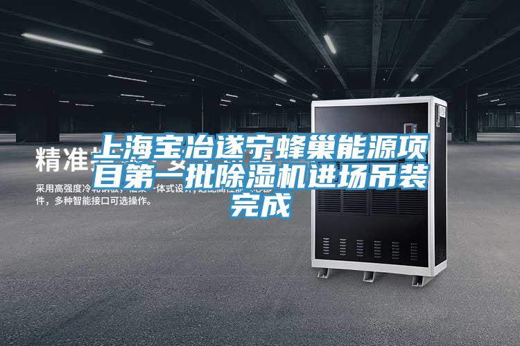 上海寶冶遂寧蜂巢能源項目第一批杏仁视频APP成人官方污進場吊裝完成
