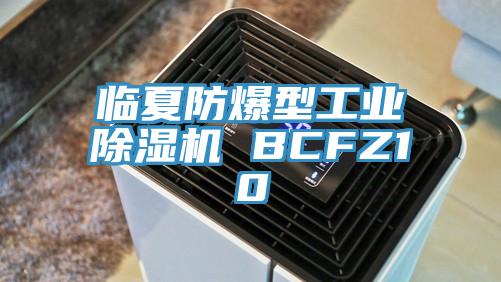 臨夏防爆型工業杏仁视频APP成人官方污 BCFZ10
