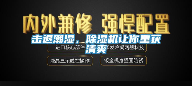 擊退潮濕，杏仁视频APP成人官方污讓你重獲清爽