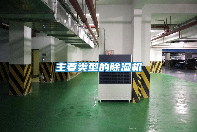 主要類型的杏仁视频APP成人官方污