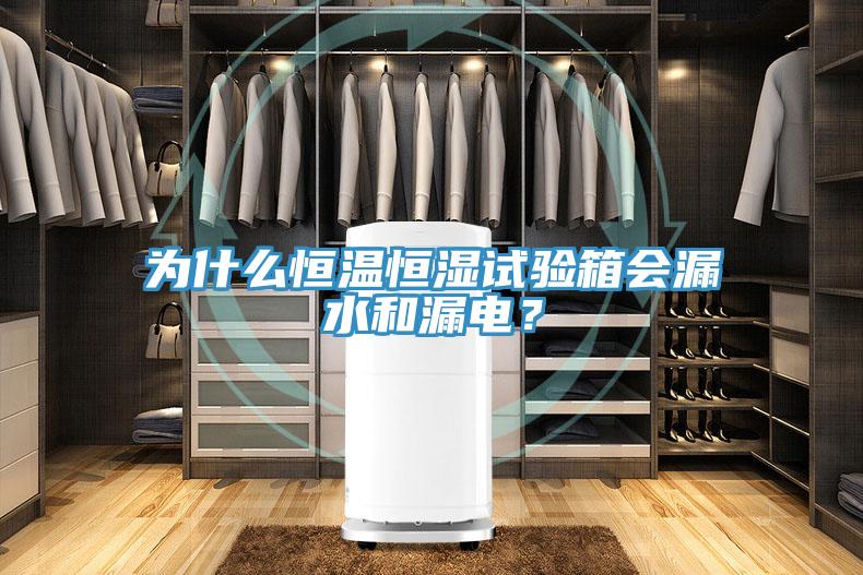 為什麽恒溫恒濕試驗箱會漏水和漏電？
