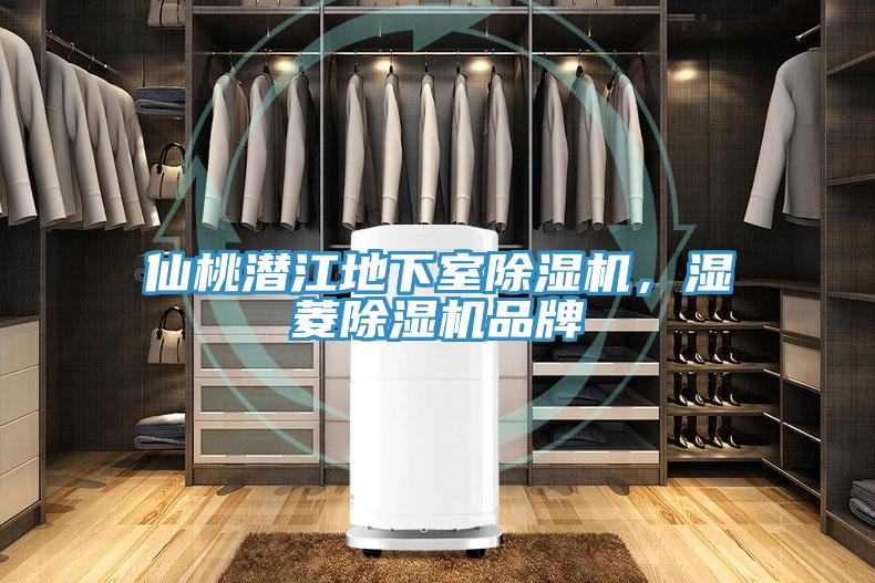 仙桃潛江地下室杏仁视频APP成人官方污，濕菱杏仁视频APP成人官方污品牌