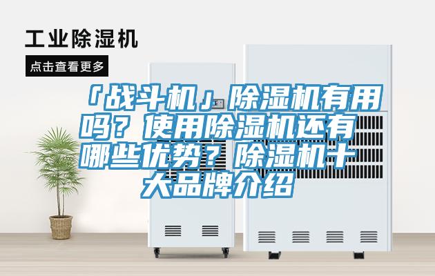 「戰鬥機」杏仁视频APP成人官方污有用嗎？使用杏仁视频APP成人官方污還有哪些優勢？杏仁视频APP成人官方污十大品牌介紹