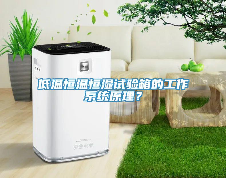 低溫恒溫恒濕試驗箱的工作係統原理？