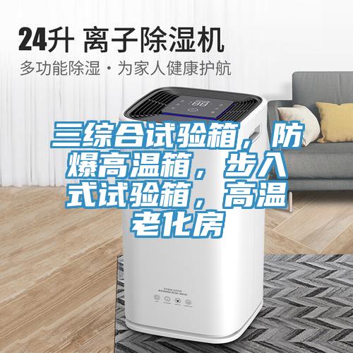 三綜合試驗箱，防爆高溫箱，步入式試驗箱，高溫老化房