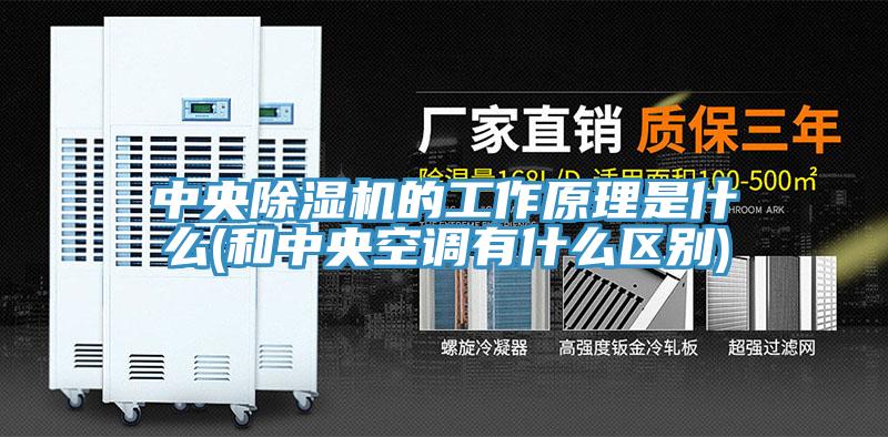 中央杏仁视频APP成人官方污的工作原理是什麽(和中央空調有什麽區別)
