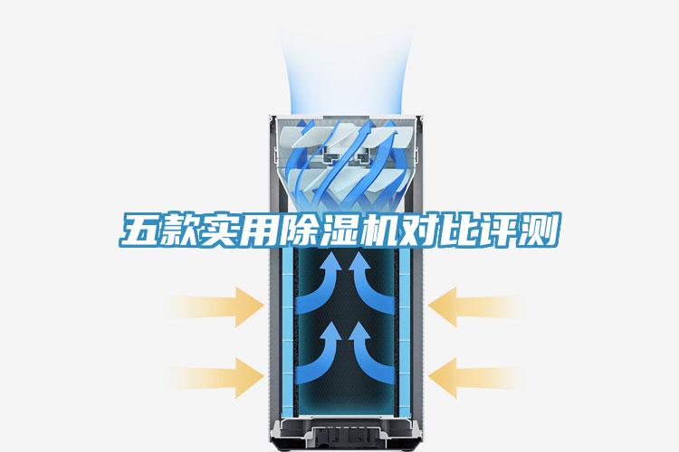 五款實用杏仁视频APP成人官方污對比評測
