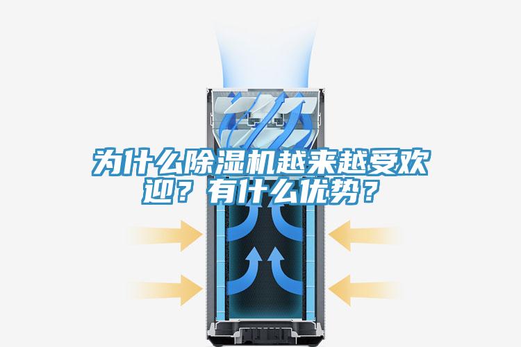 為什麽杏仁视频APP成人官方污越來越受歡迎？有什麽優勢？