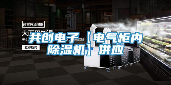 共創電子【電氣櫃內杏仁视频APP成人官方污】供應